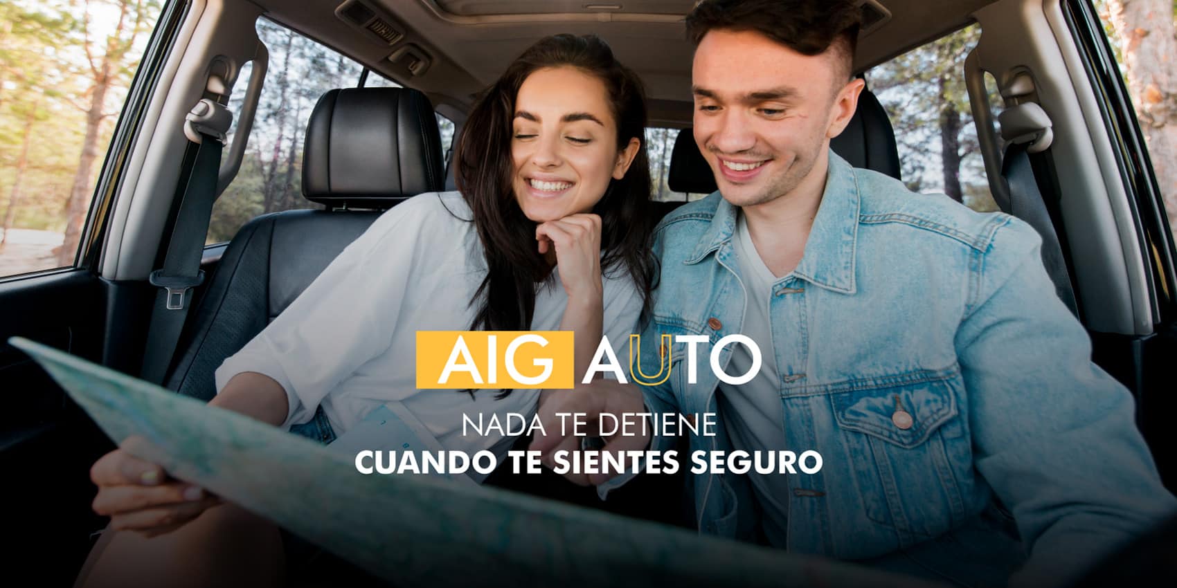 Seguro Vehicular Full Cobertura - AIG Metropolitana