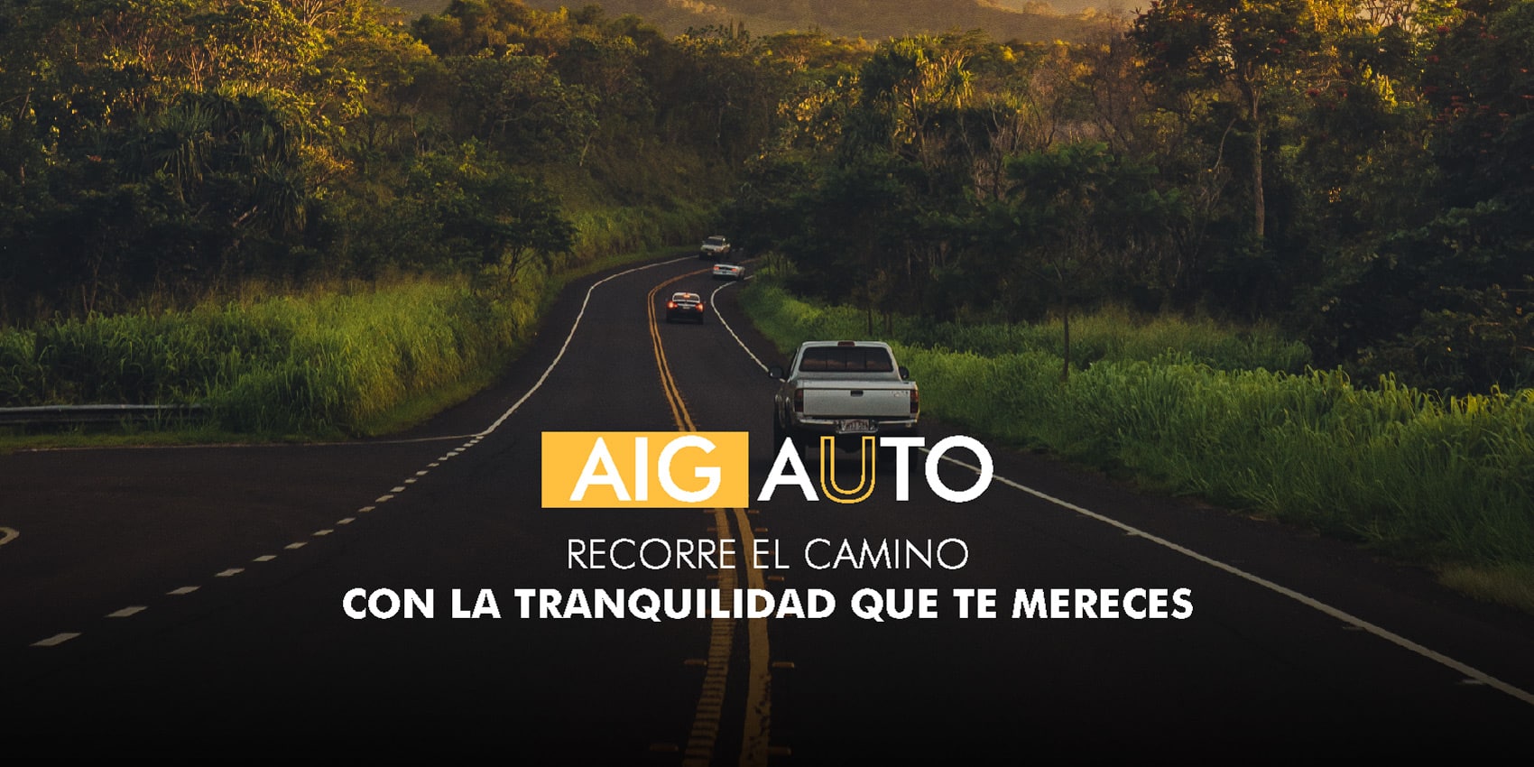 Seguro Vehicular Full Cobertura - AIG Metropolitana